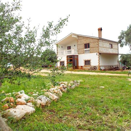 Gio Horses B&B 圣尼坎德罗加尔加尼科 外观 照片