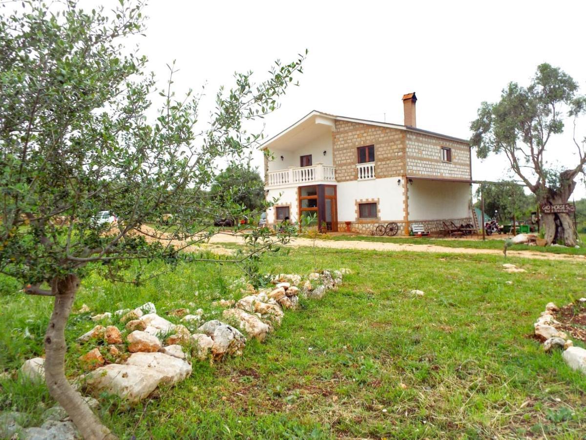 Gio Horses B&B 圣尼坎德罗加尔加尼科 外观 照片
